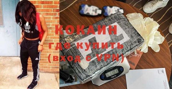 ГАЛЛЮЦИНОГЕННЫЕ ГРИБЫ Аркадак