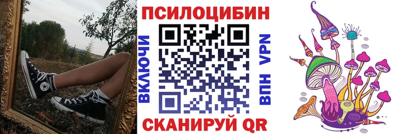 Галлюциногенные грибы Cubensis  Солигалич 